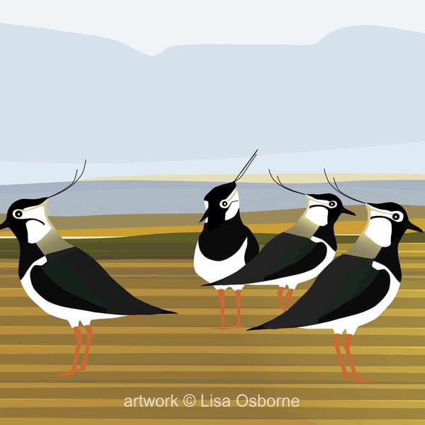 Lapwings - bird art print