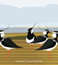Lapwings - bird art print