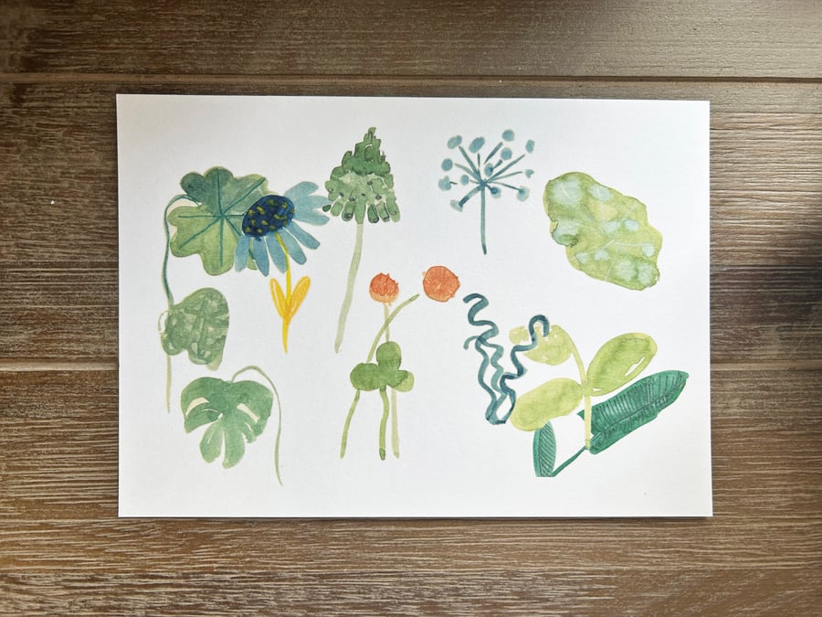 Leaf Study 01 Art Print A4