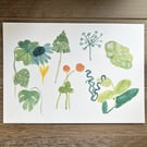 Leaf Study 01 Art Print A4