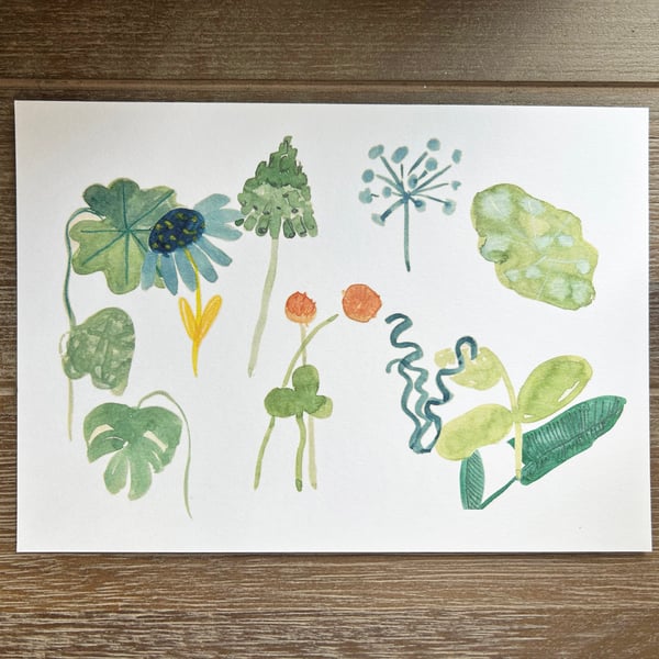 Leaf Study 01 Art Print A4