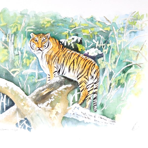 Tiger Original Watercolour Painting Large Cat Fine Art