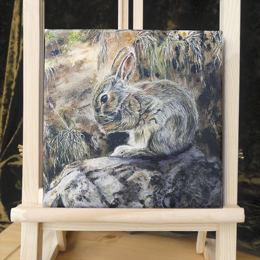 Artist's Canvas Print Bunny "Young Floraidh" 8" square