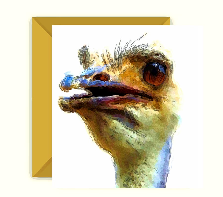 Ostrich Greeting, Birthday Card