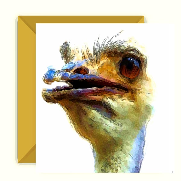 Ostrich Greeting, Birthday Card