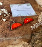 Red Ceramic Earrings; Foraged Bristol Clay, Hypoallergenic Steel Hooks, Earthenw - Image 8