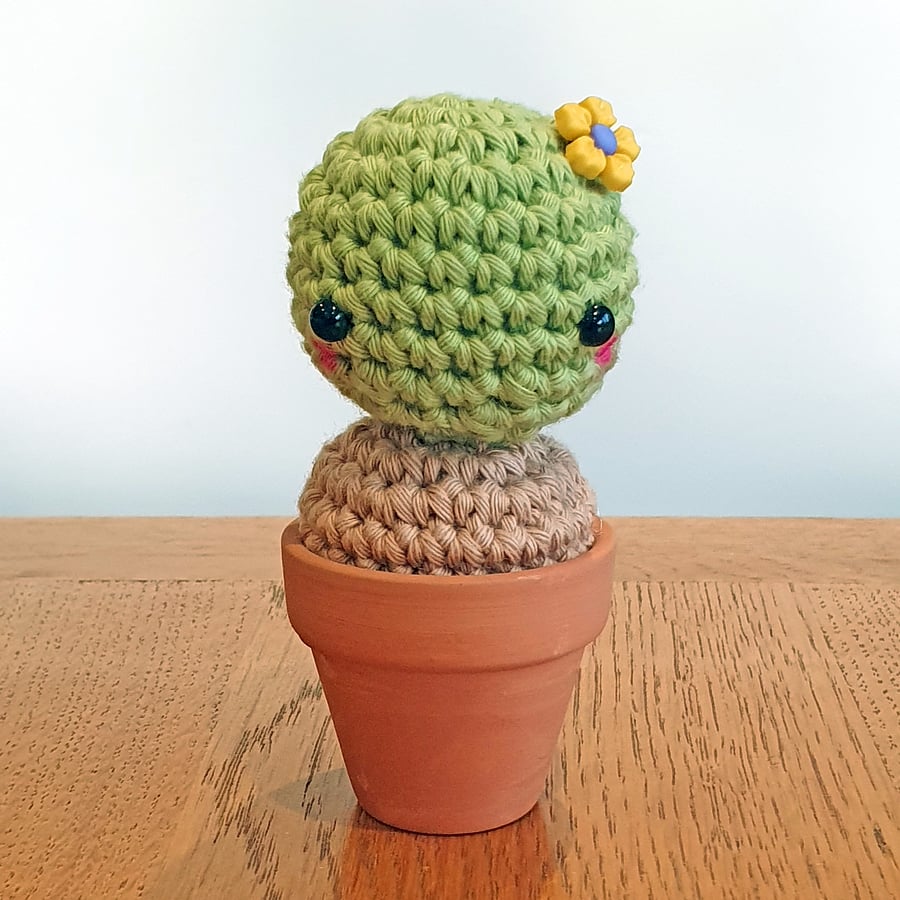 Felicity the Crochet Cactus