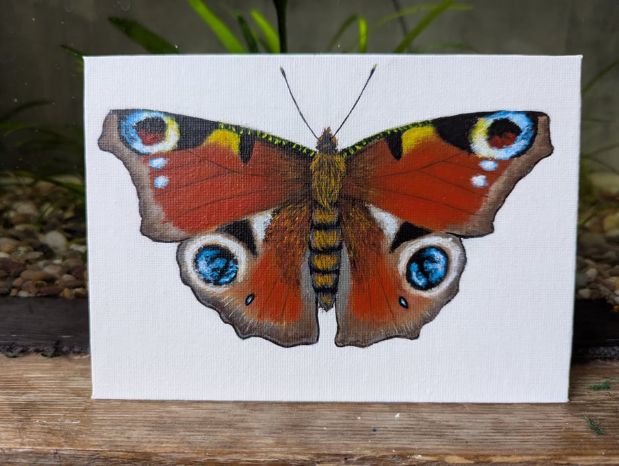 Original Peacock Butterfly Acrylic Painting 