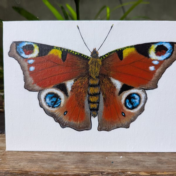 Original Peacock Butterfly Acrylic Painting 