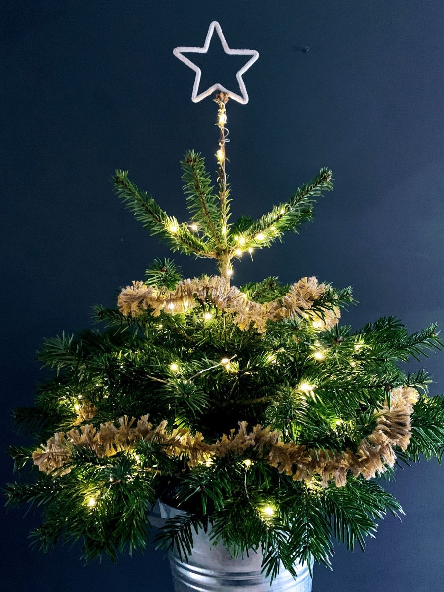 GOLDEN STRINSEL - plastic free undyed jute string tinsel