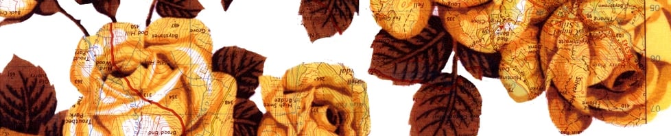 Glazed and Confused Ceramics