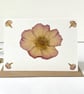 Handmade Real Pressed Rose Greeting Card, Wedding, Anniversary, Birthday - Image 6