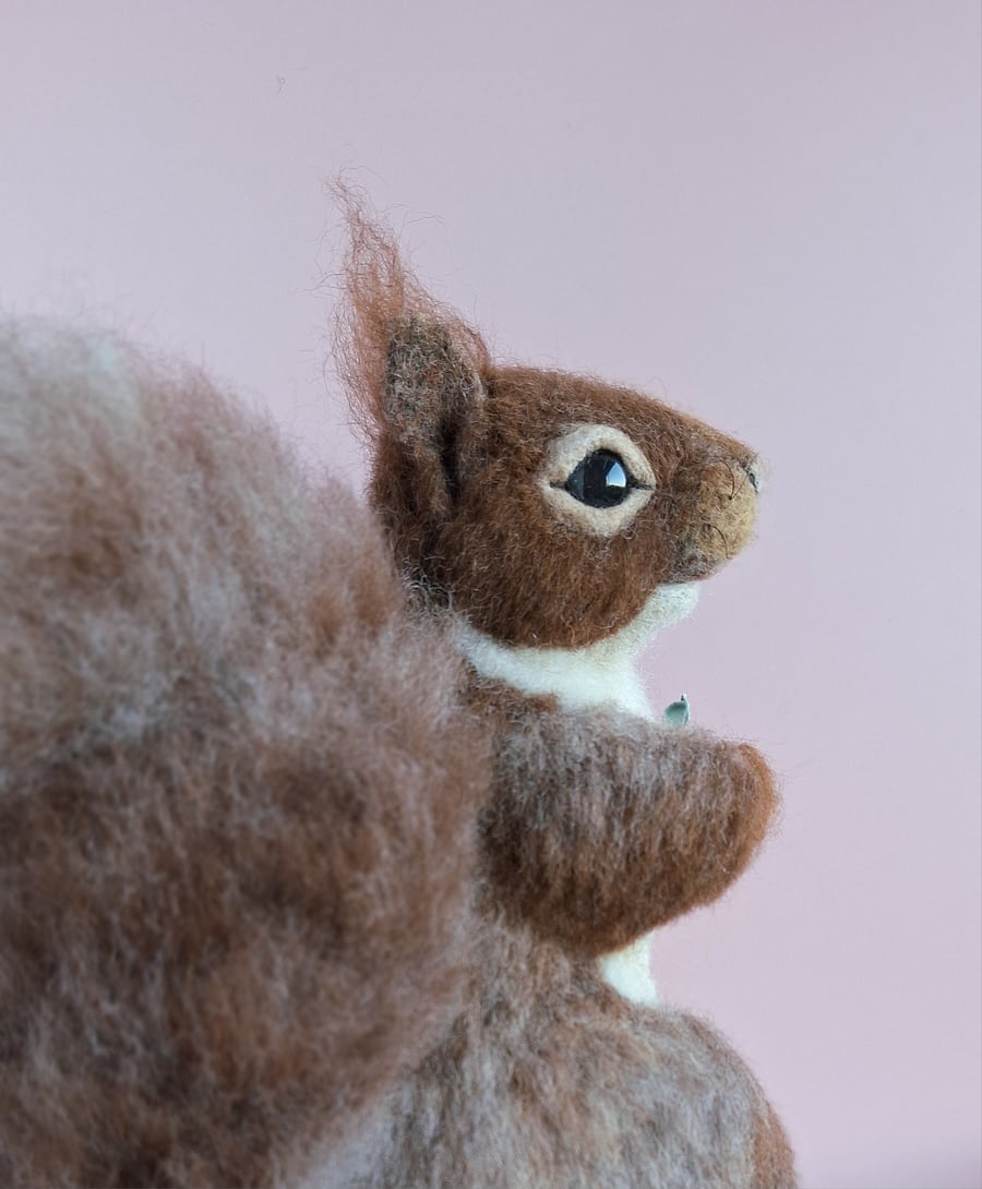 Flora the Red Squirrel