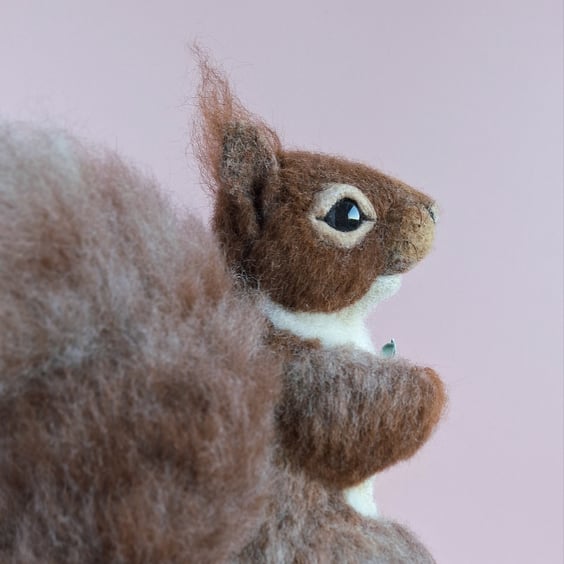 Flora the Red Squirrel