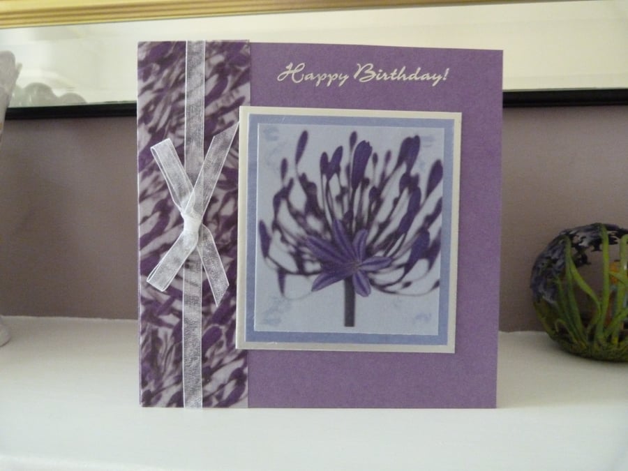 Agapanthus Birthday Card