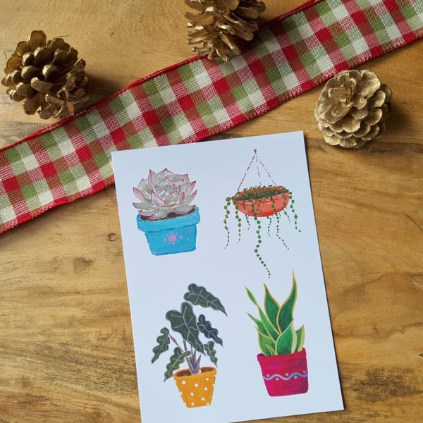 Houseplants - Fine Art A5 Print