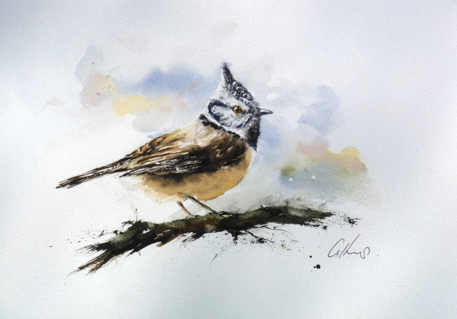 Crested Tit, Original Watercolour Painting.