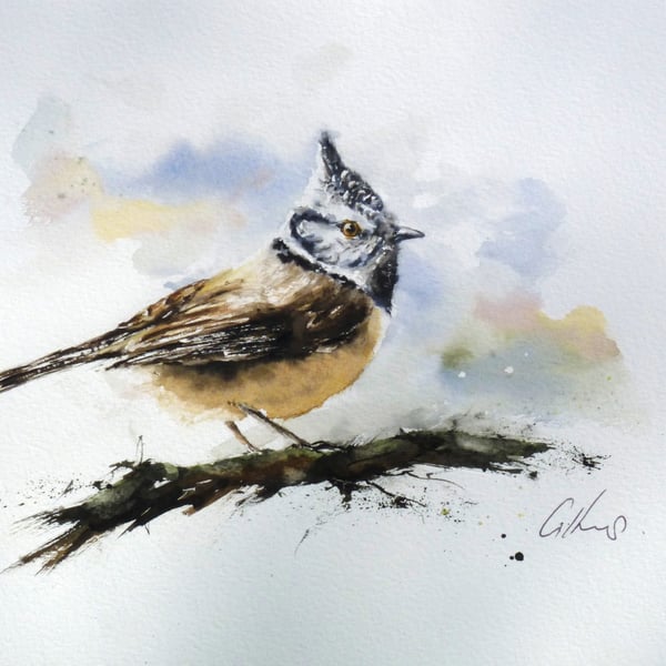 Crested Tit, Original Watercolour Painting.