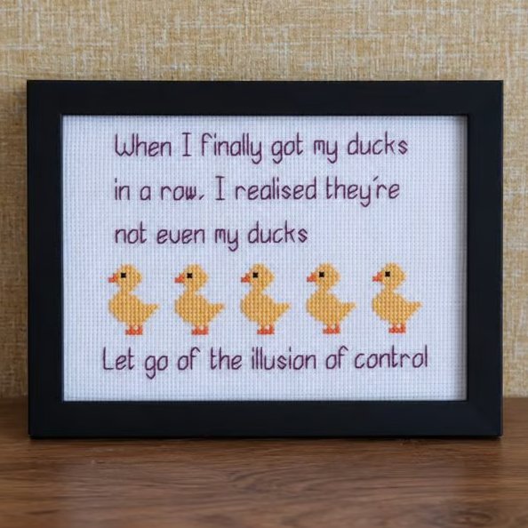 Ducks in a Row – Funny Handmade Cross Stitch Quote – Black Framed Gift 5x7