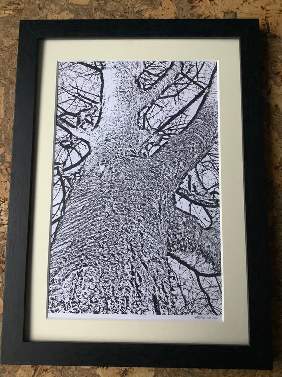 Monochrome Framed Print, Tree, Eco Friendly Gifts Unique One of  Kind Gifts