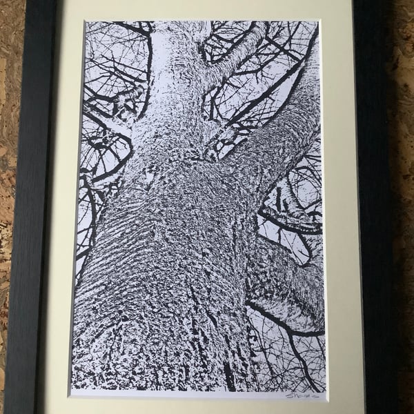 Monochrome Framed Print, Tree, Eco Friendly Gifts Unique One of  Kind Gifts