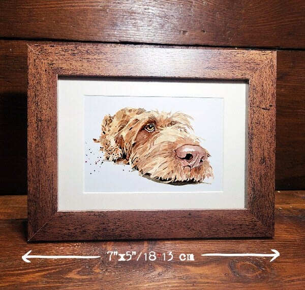 Wirehaired Vizsla " Watercolour Miniature Framed Print,(7"5"1813cm) Wirehaired V