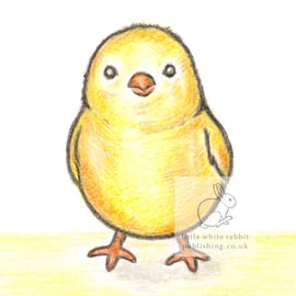 Chubby the Chick - Blank Card