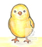 Chubby the Chick - Blank Card - Image 1