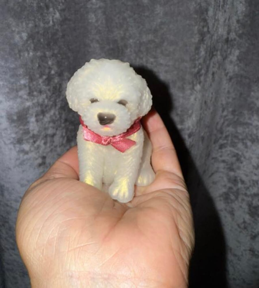 Cute Little Maltese Terrier with Pink Bow