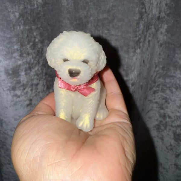 Cute Little Maltese Terrier with Pink Bow