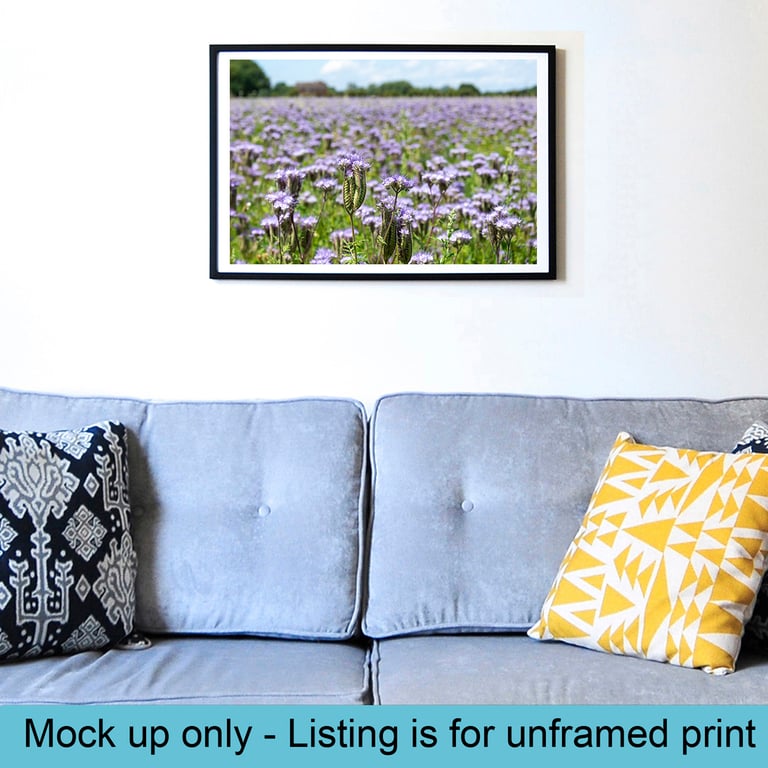 Phacelia meadow print