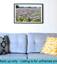 Phacelia meadow print