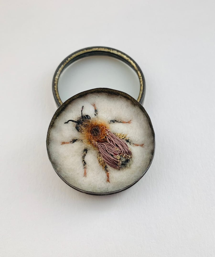 Bee 214 Andrena tridentata or Female Pale-tailed Mining Bee