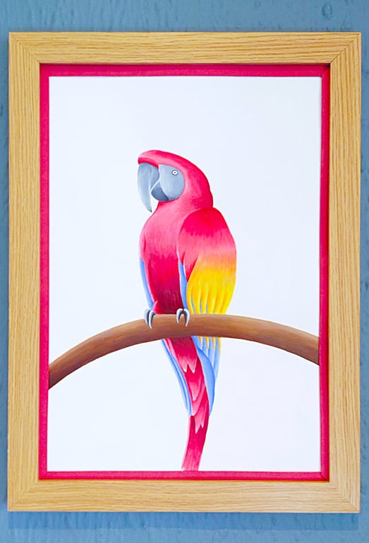 Handmade Unique Framed A3 Print Colourful Macau Parrot Red Border Wallart Gift