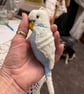 Budgies hand knit customised - Image 4