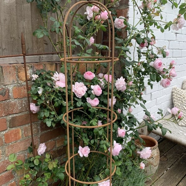 Small Round Metal Obelisk 1.25m - Rustic Climbing Plant Support