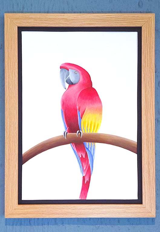 Handmade Unique Framed A3 Print Colourful Macau Parrot Black Border Wallart
