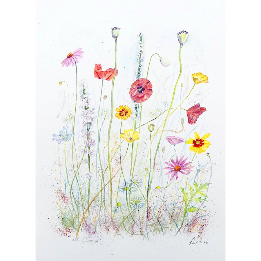 Meadow wildflower watercolour print