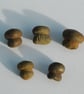 Pyrite mushrooms - Image 2