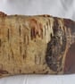 Tree on Spalted Silver Birch - Image 3