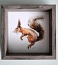 Original Squirrel Painting, Watercolour Art - Image 1