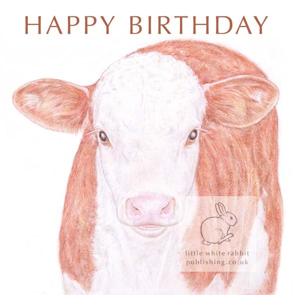 Hereford Calf - Birthday Card
