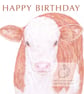Hereford Calf - Birthday Card - Image 1