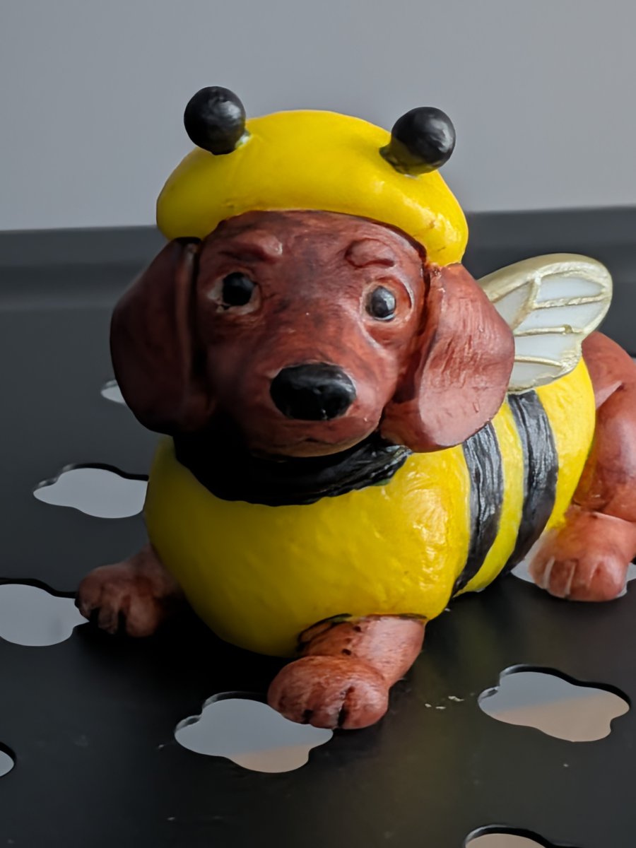 Dachshund bumblebee 
