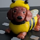 Dachshund bumblebee 