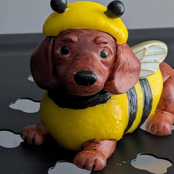 Dachshund bumblebee 