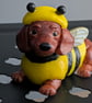 Dachshund bumblebee 