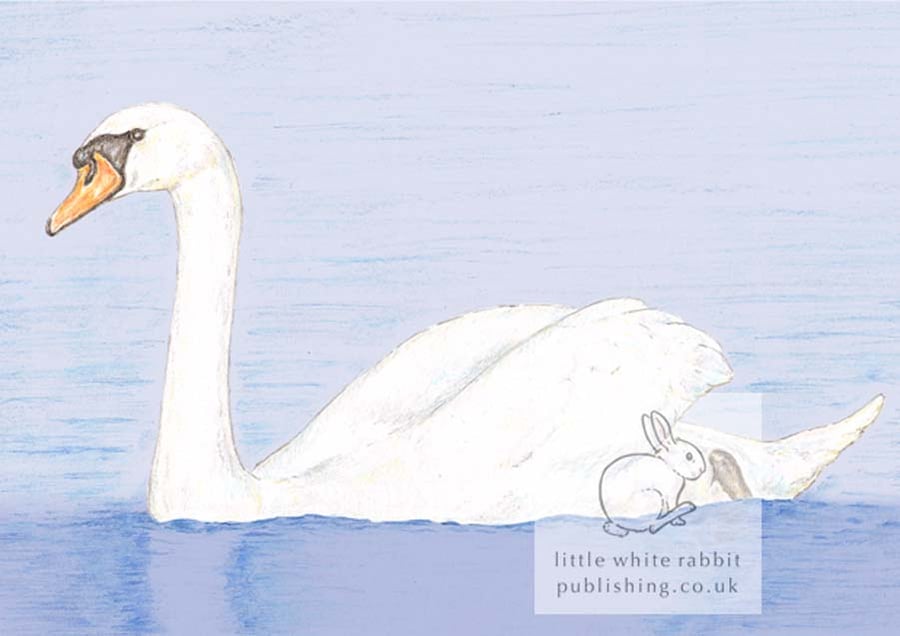 Swan - Blank Card
