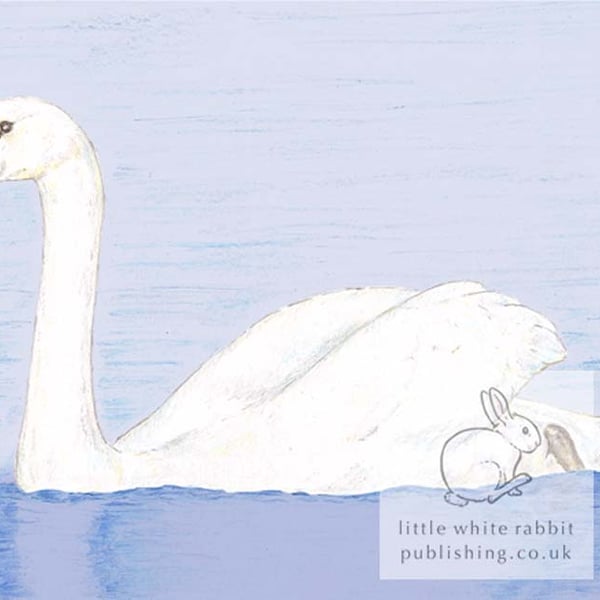 Swan - Blank Card