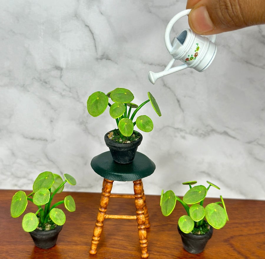 Miniature Pilea Plant - Handmade , 1:12 Scale, Dollhouse plant 